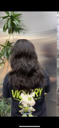 -Hair Code芭曲发型