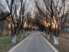 -石家庄市植物园