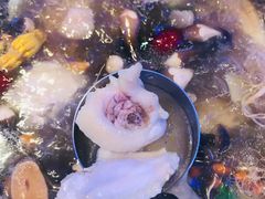 -千岛蚝高压锅生蚝·人参火锅(白云万达店)