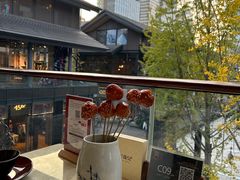 -柴门饭儿(成都太古里店)