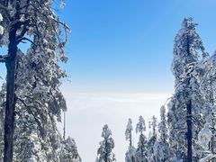 -瓦屋山景区