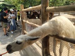 -西安秦岭野生动物园