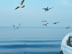 -大连海昌东方水城