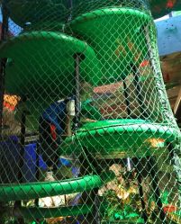 -恐龙探索乐园(磁器口店)