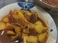 -石家庄市动物园