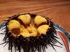 -千代武日本料理(爱建店)