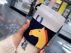-春丽小马(济南恒隆广场店)