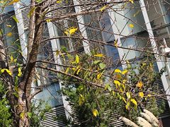 -嘉华鲜花饼·现烤(昆明老街店)