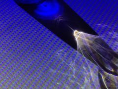 -东海朗廷酒店-唐阁T’ANG COURT 中餐厅