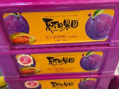 -双福水果批发市场
