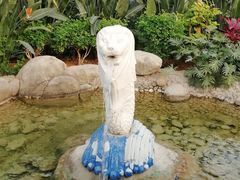 -南宫五洲植物乐园