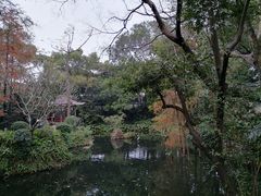 -广州兰圃