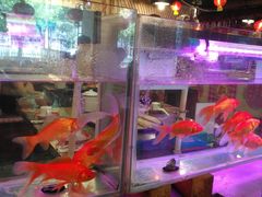 -粗粮人家·东北菜(洋桥店)