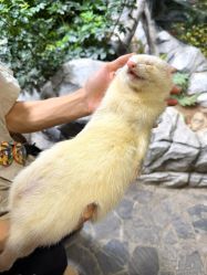 -Zoolung Zoolung动物主题公园(海信广场店)