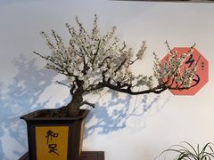 -颐和园