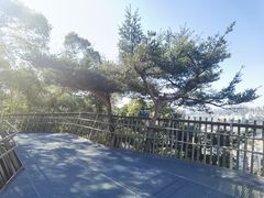 -福道