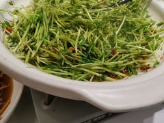 -刘胖子家常菜·蹄花焖藕(中南店)