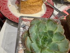 -墨纪Mojí墨西哥餐厅(官舍店)