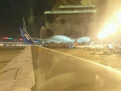 -全日本空输株式会社(上海办事处)