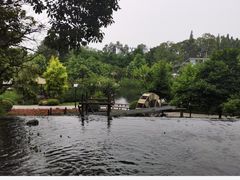 -成飞公园