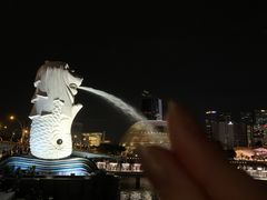 -鱼尾狮公园