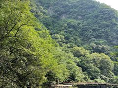 -白云源风景区