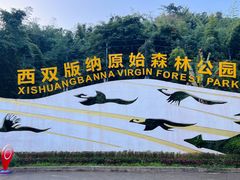 -西双版纳原始森林公园