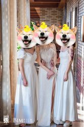-拉瑞娜LaReine婚纱礼服高级定制