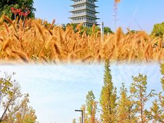-西安世博园