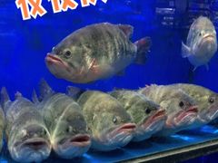 -盒马鲜生(双清路店)