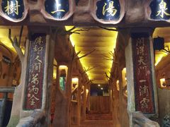 -天门沟九州驿站树上汤泉