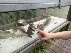 -北京鹿世界主题园