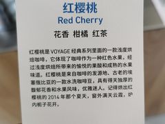 -VOYAGE COFFEE(杨梅竹店)