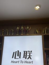 -心联形象设计·流星染