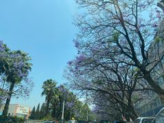 -杨记山珍鸡煲菌汤锅