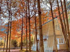 -桤木河湿地公园