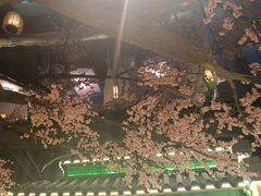 -荷塘秋月·本帮江浙菜(国权路店)