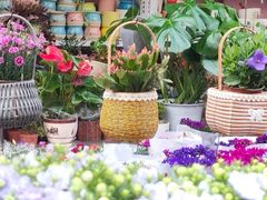 -哈尔滨道外花鸟鱼市场