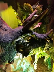 -恐龙探索乐园(磁器口店)