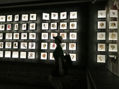 -四川大学博物馆