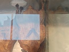 -京八珍(和平东桥店)