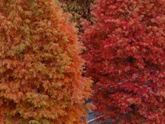 -南京市无想山景区