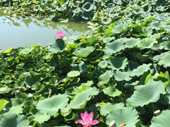 -北京天湖会议中心