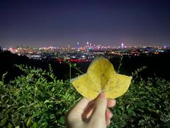 -火炉山森林公园