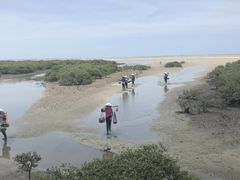 -北海金海湾红树林生态旅游区