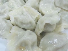 -启子大馅饺子