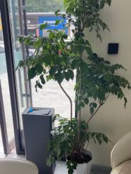 -海涛医疗美容·面部抗衰·注射美鼻