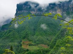 -鹿院坪生态旅游景区