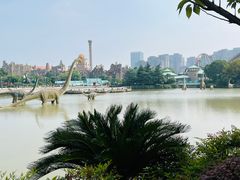 -中华恐龙园
