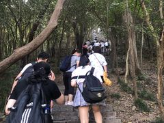 -紫金山山顶公园